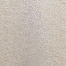 Chinshilla Weib